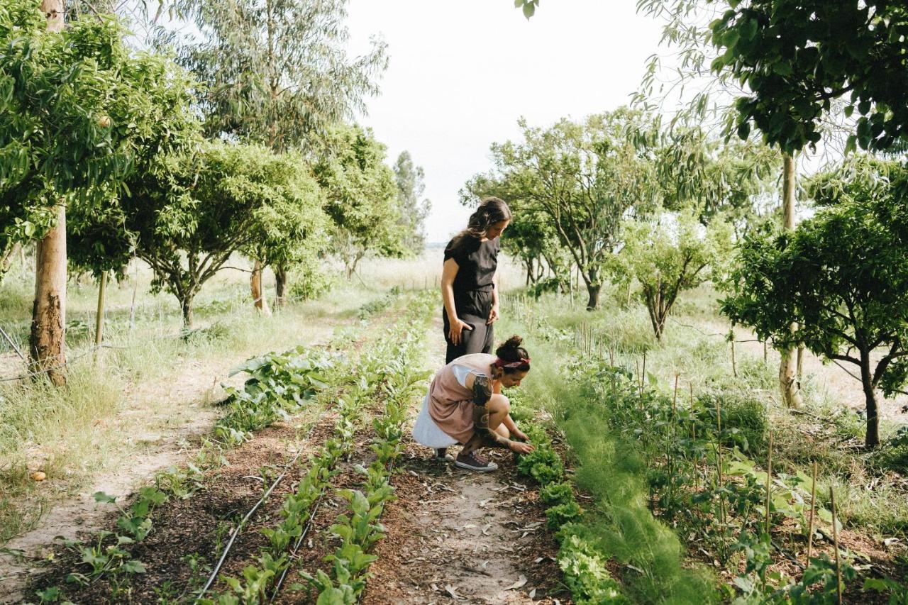Humus Farm Villa Aguas de Moura Bagian luar foto